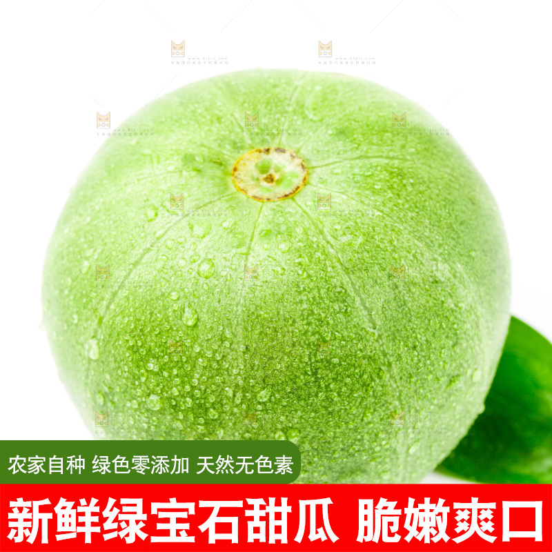 浅底上的山东绿宝石甜瓜