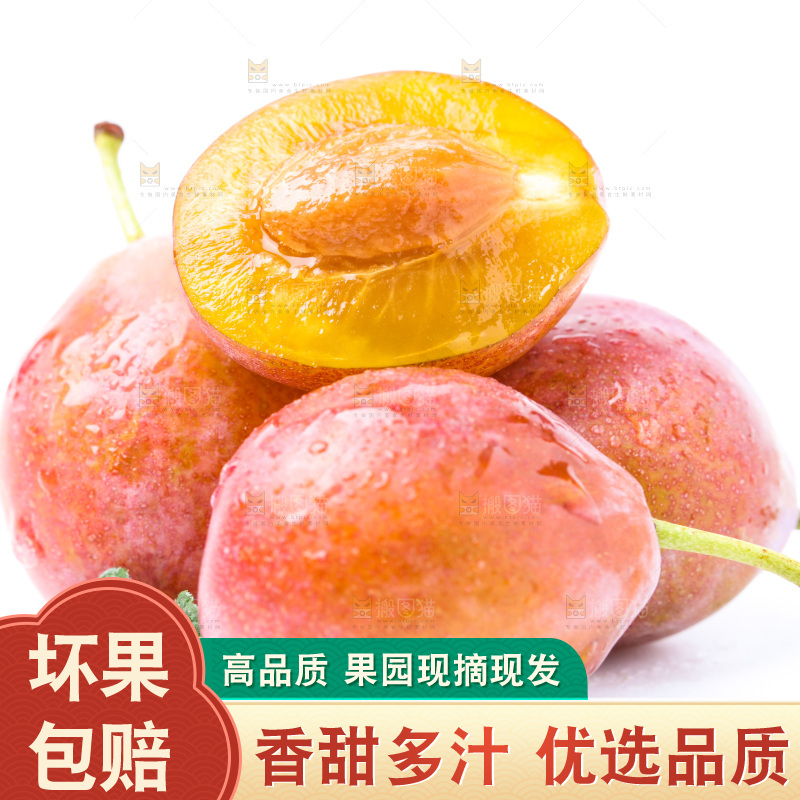 白底上的新疆法兰西西梅