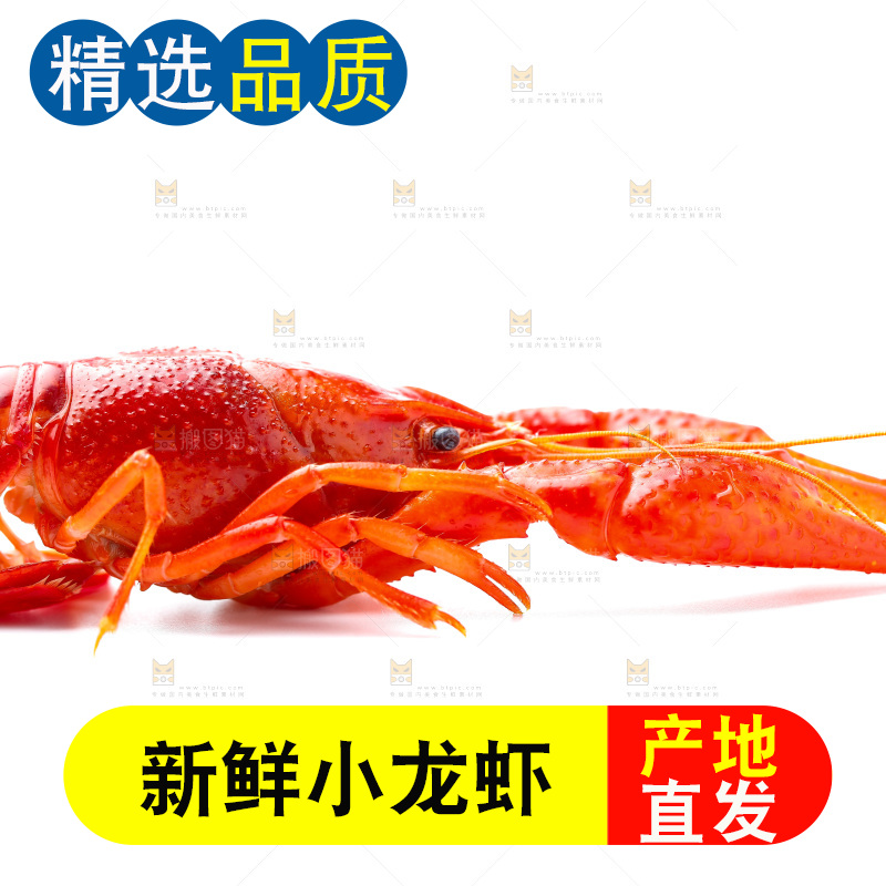 白底上放着秘制小龙虾