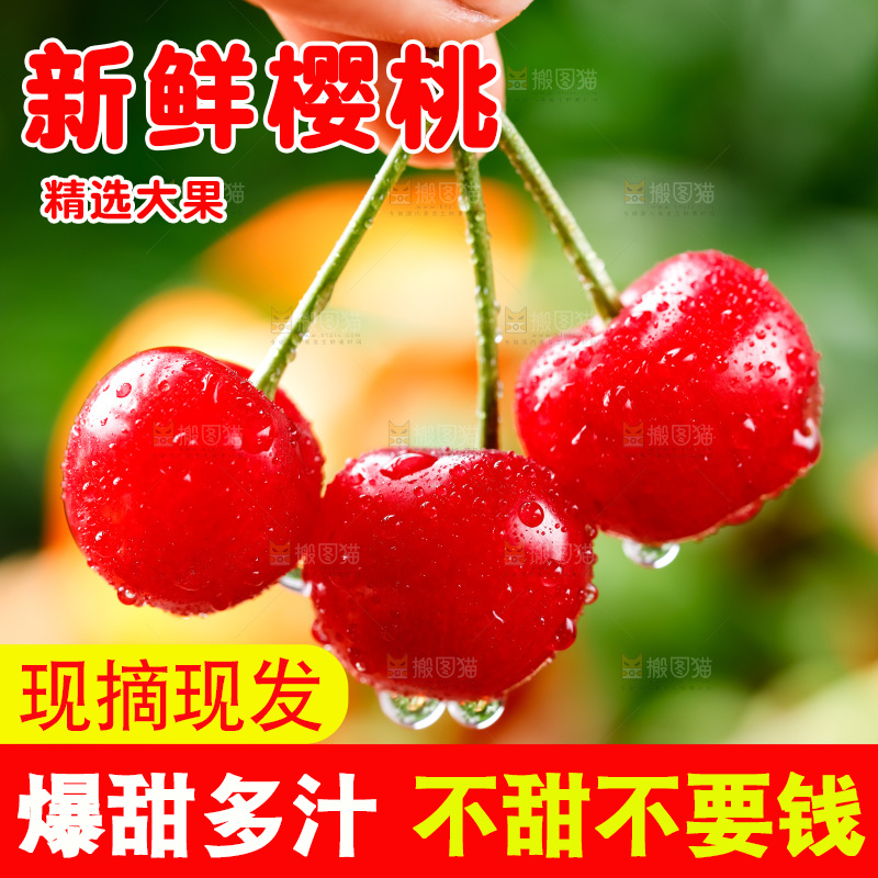 手拿新鲜樱桃