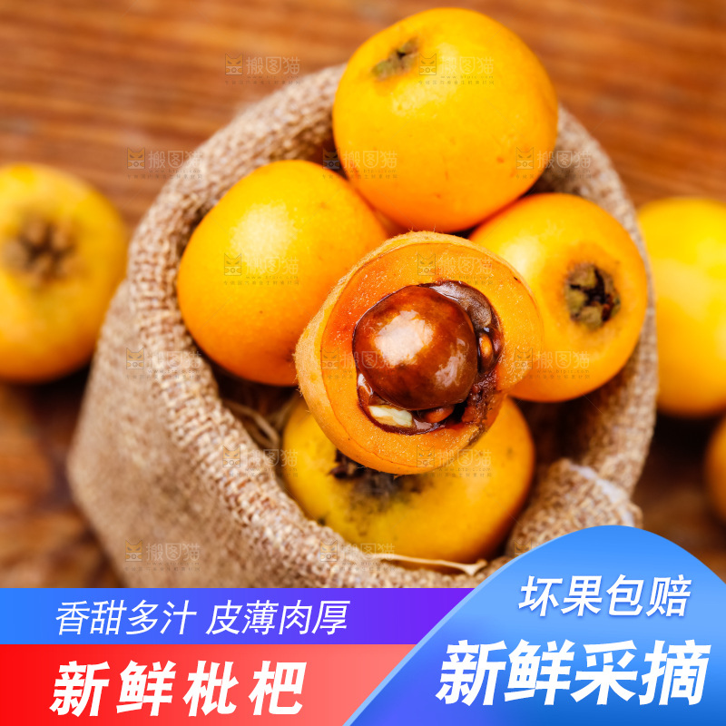 袋子里装着新鲜枇杷
