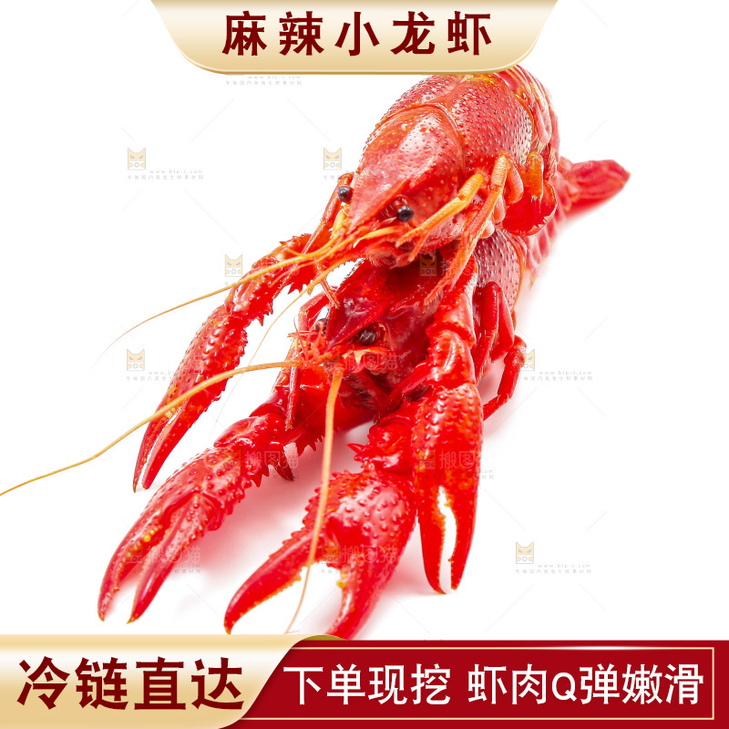 白底上放着清蒸小龙虾