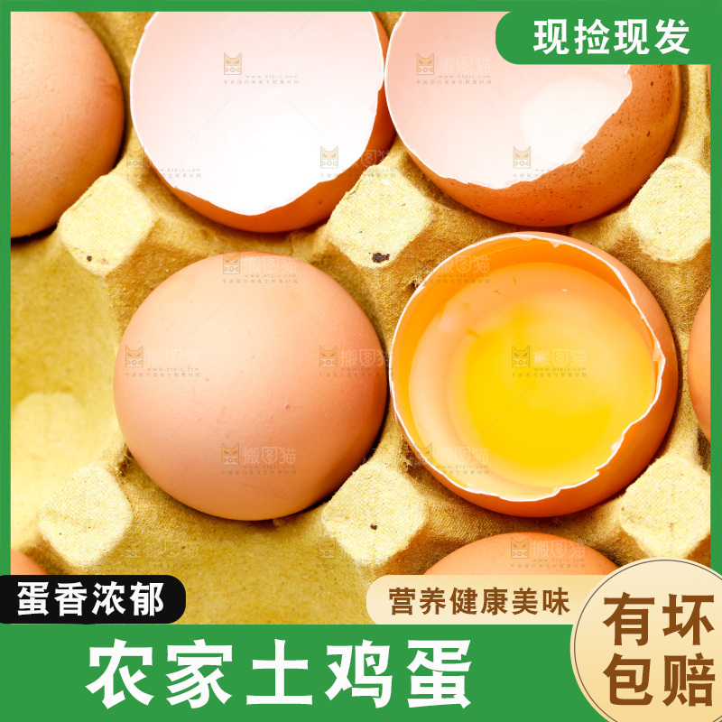 新鲜土鸡蛋放在白底上