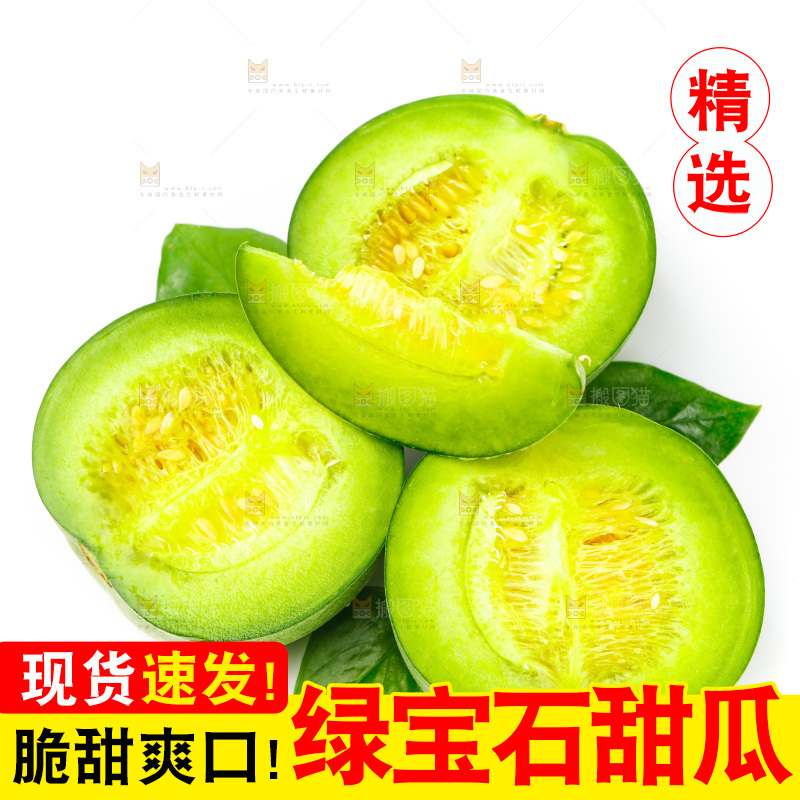 浅底上的山东绿宝石甜瓜