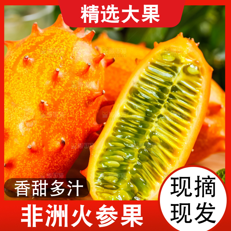 木底上摆放着海参果