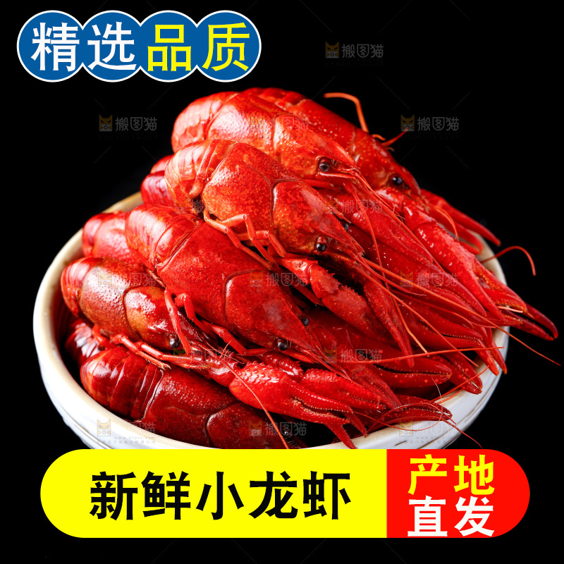 盘子里的清蒸小龙虾