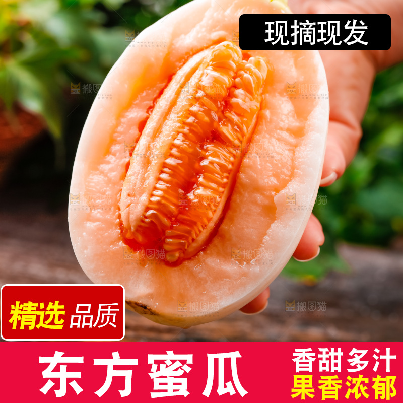 手拿切开的东方蜜瓜