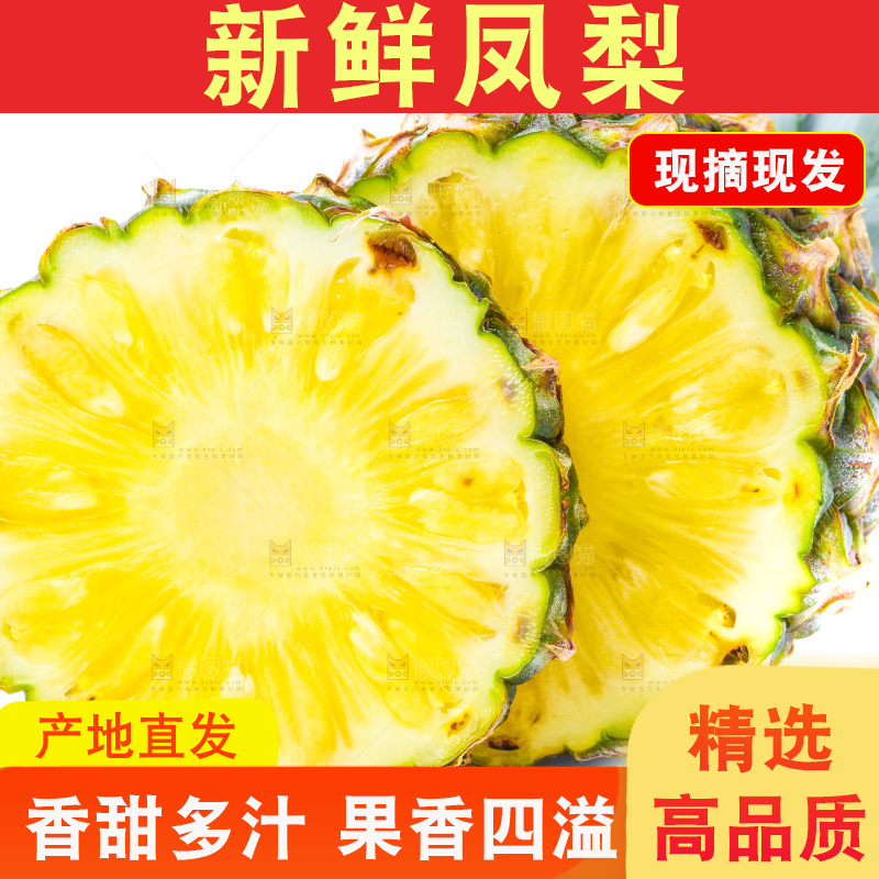 浅底上的海南凤梨