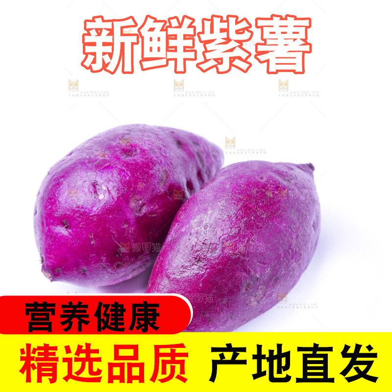 浅底上的小紫薯
