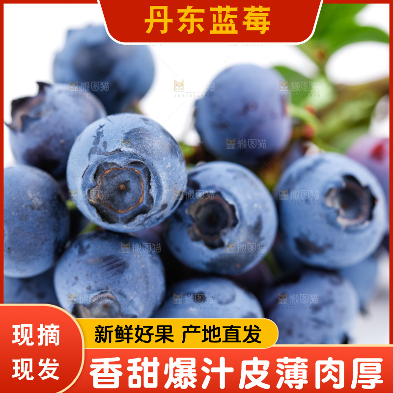 白底上摆放着蓝莓