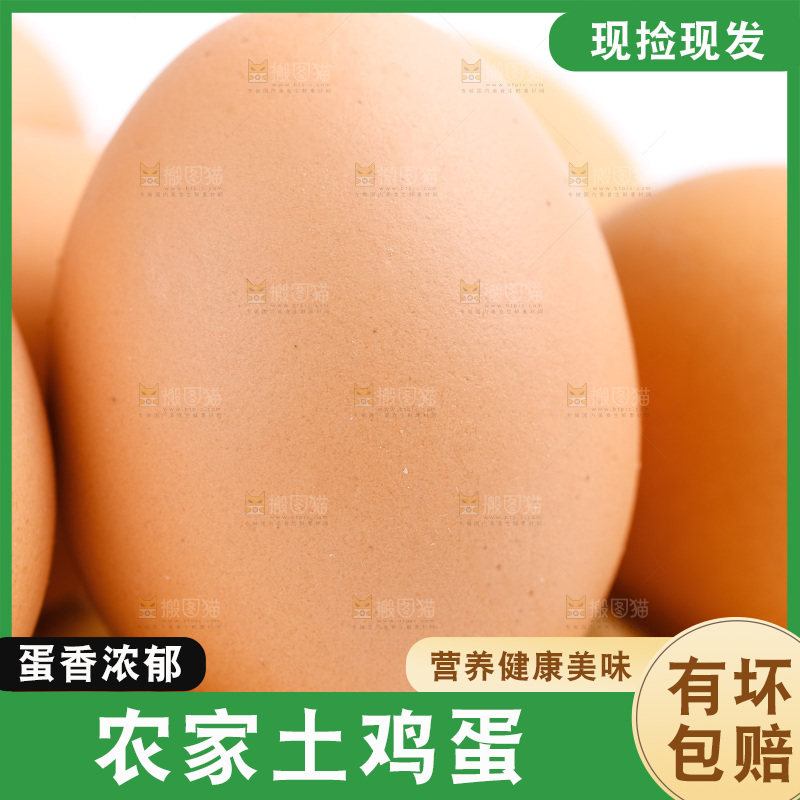 白底上的鲜鸡蛋
