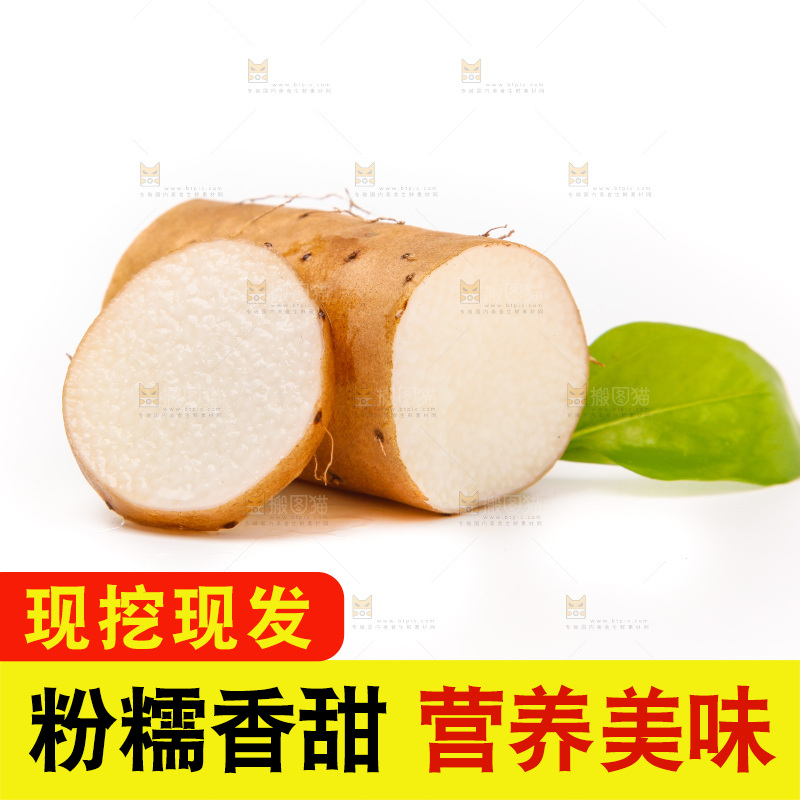 浅底上的新鲜山药