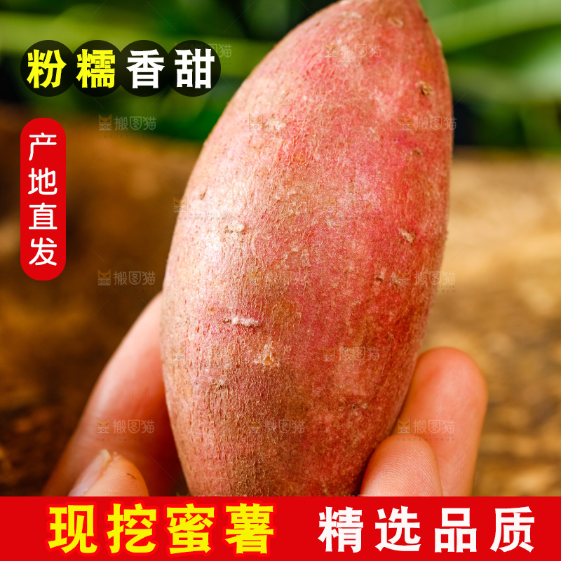 手里拿着红薯