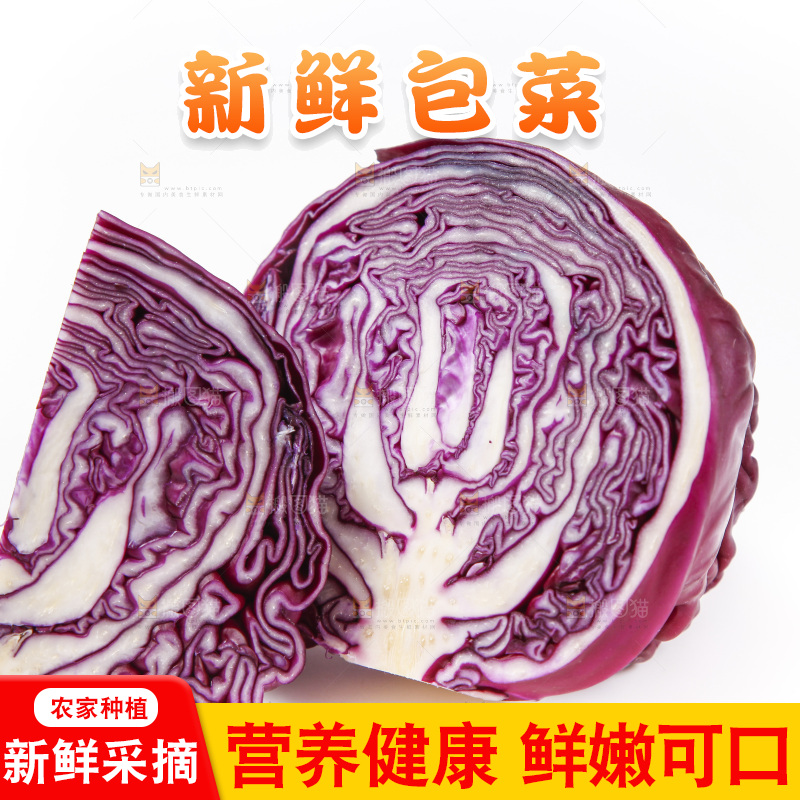白底上放着紫包菜