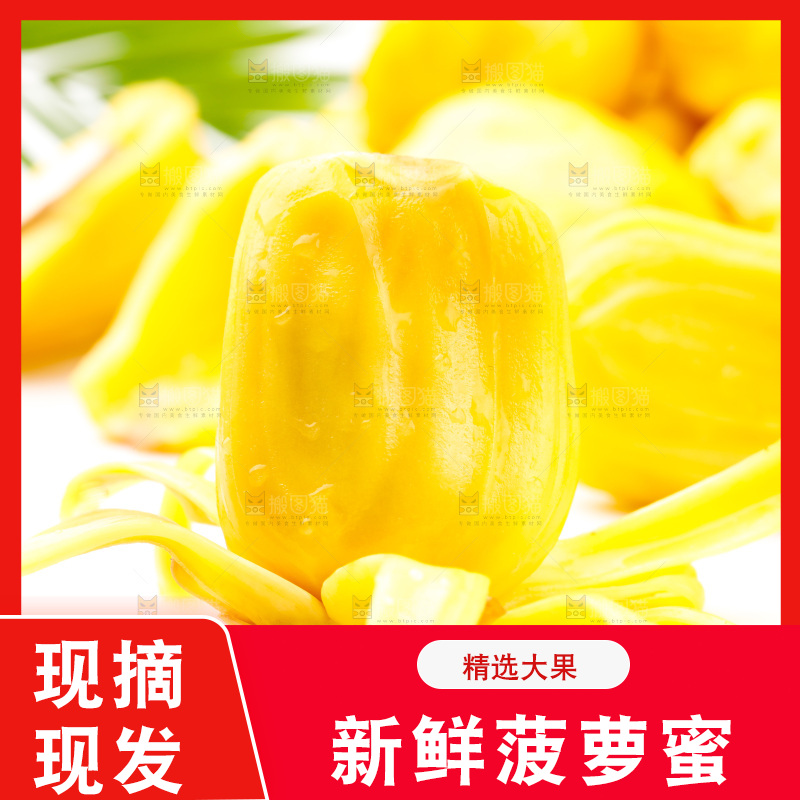 浅底上的黄肉菠萝蜜