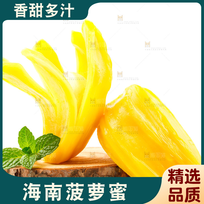 白底上的海南菠萝蜜