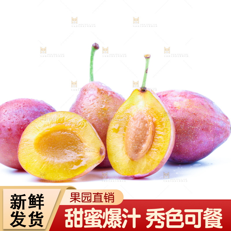 浅底上的新疆西梅
