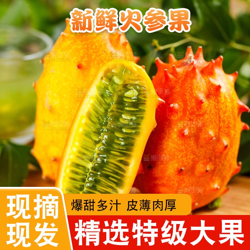 木底上摆放着海参果