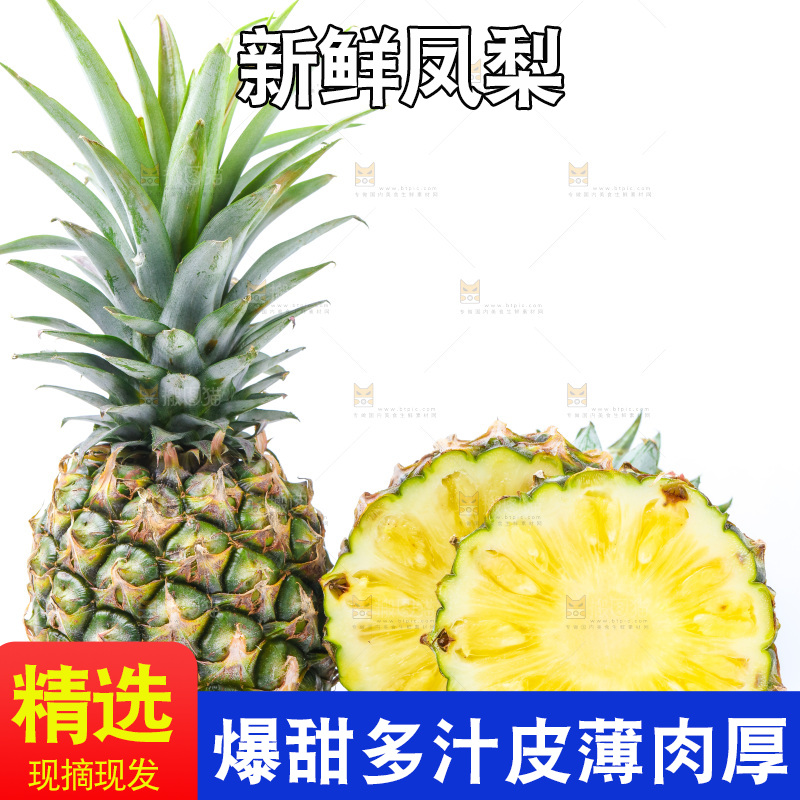 浅底上的海南凤梨