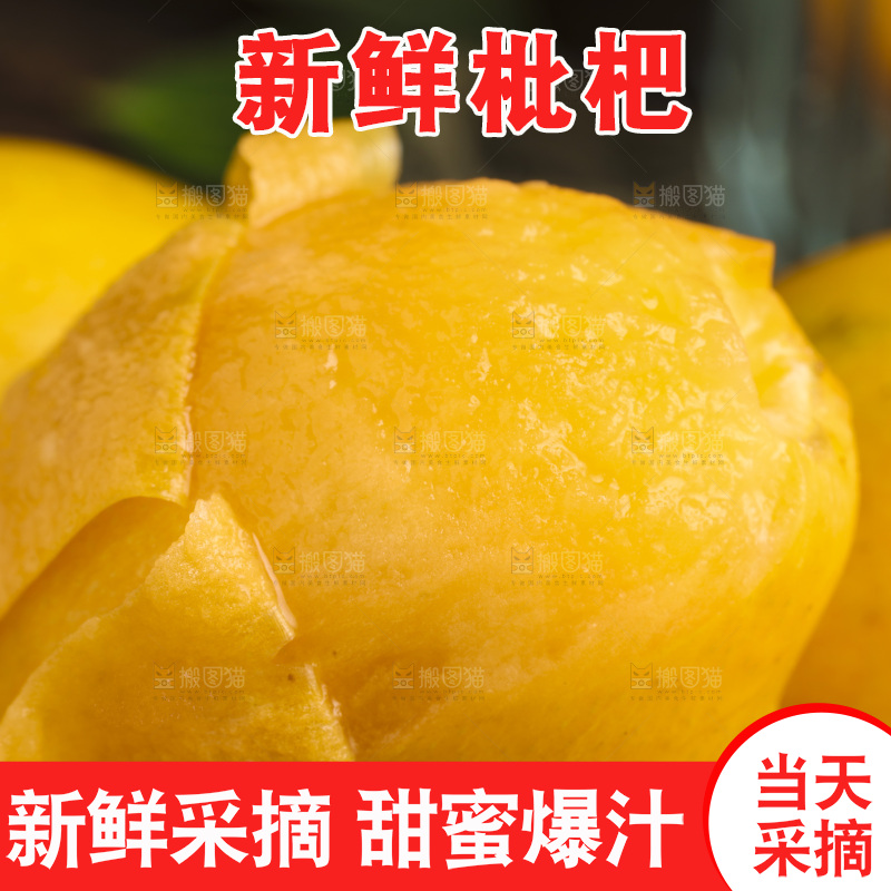 深底上的攀枝花枇杷