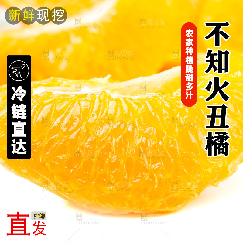 白底上的丑柑