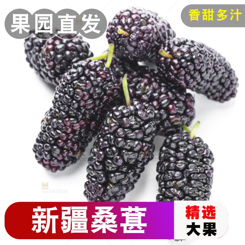 白底上摆放着桑葚