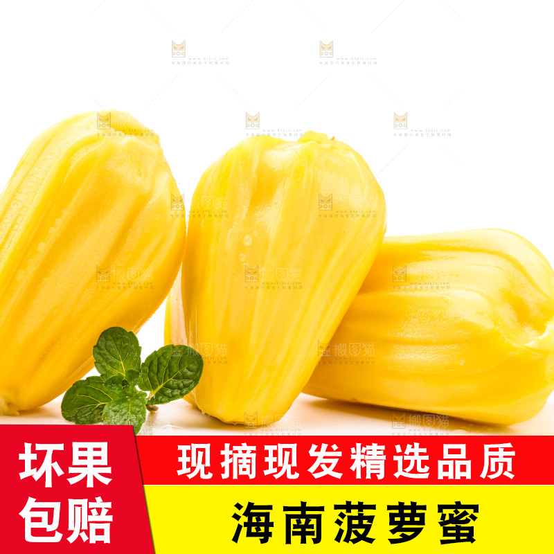 浅底上的黄肉菠萝蜜