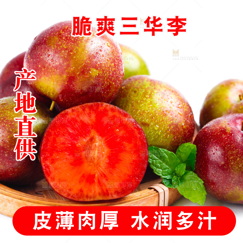 篮子里装着钱排三华李