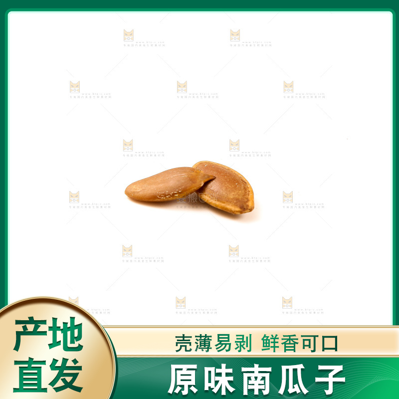 白底上的南瓜子