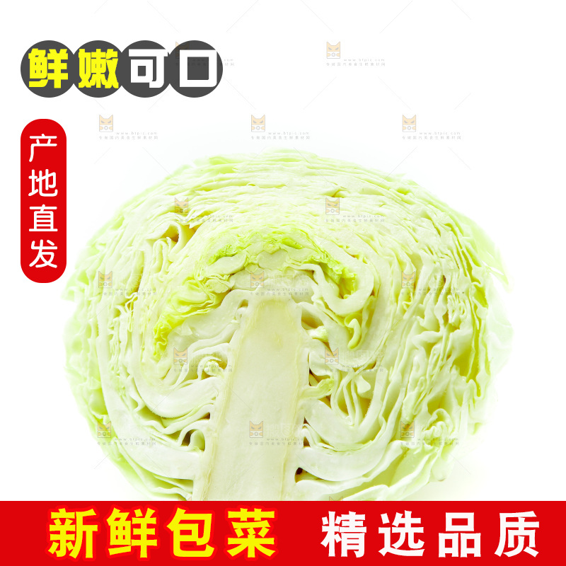 白底上的包菜