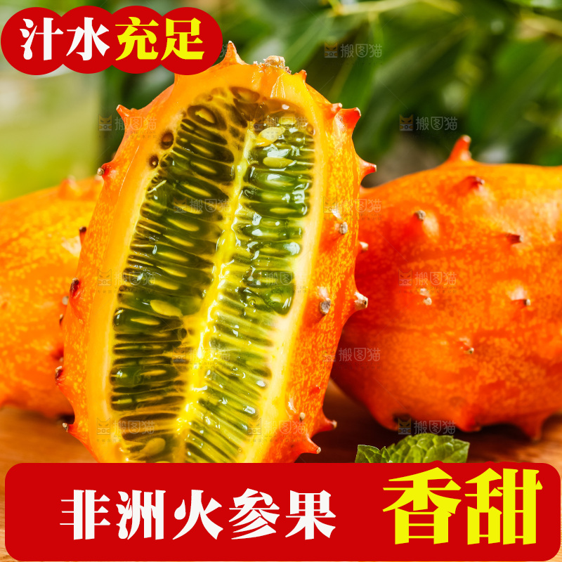 木底上摆放着海参果