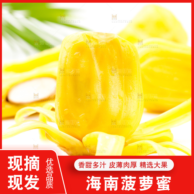浅底上的黄肉菠萝蜜