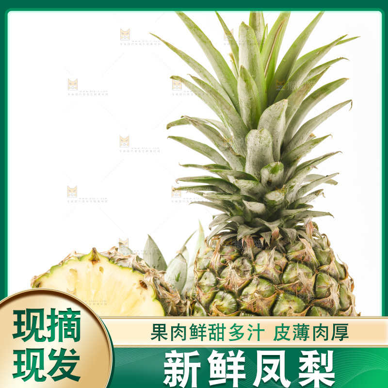白底上摆放着海南凤梨