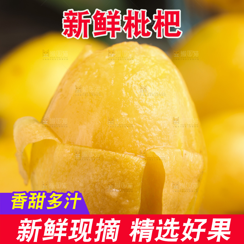 深底上的攀枝花枇杷