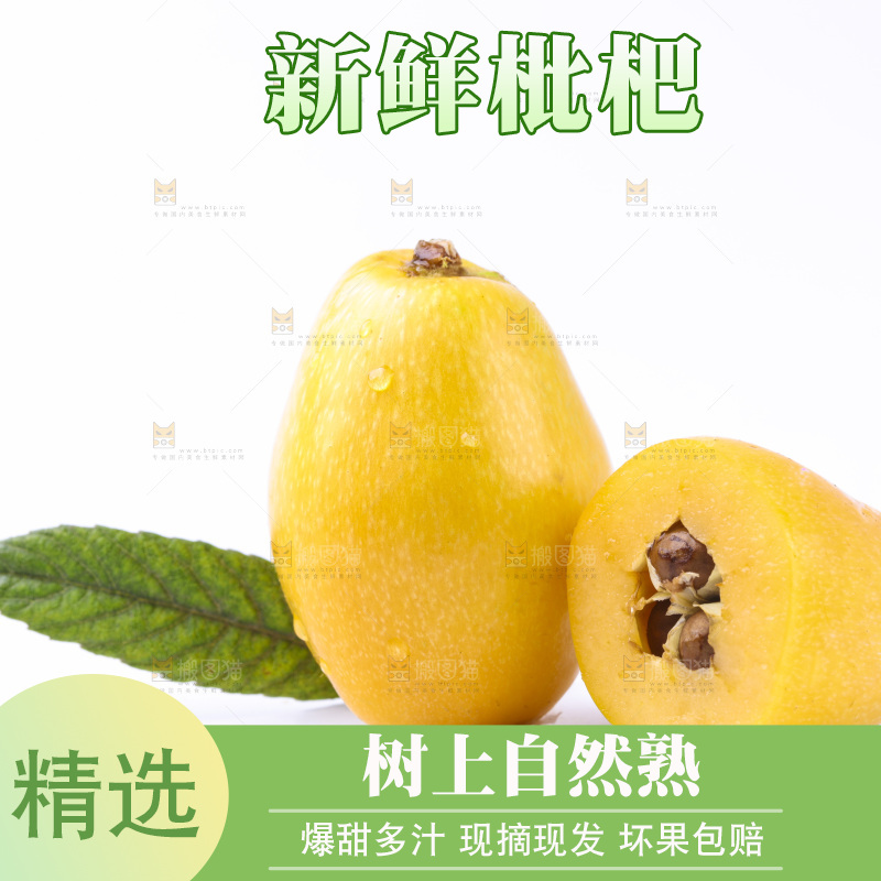 白底上的枇杷