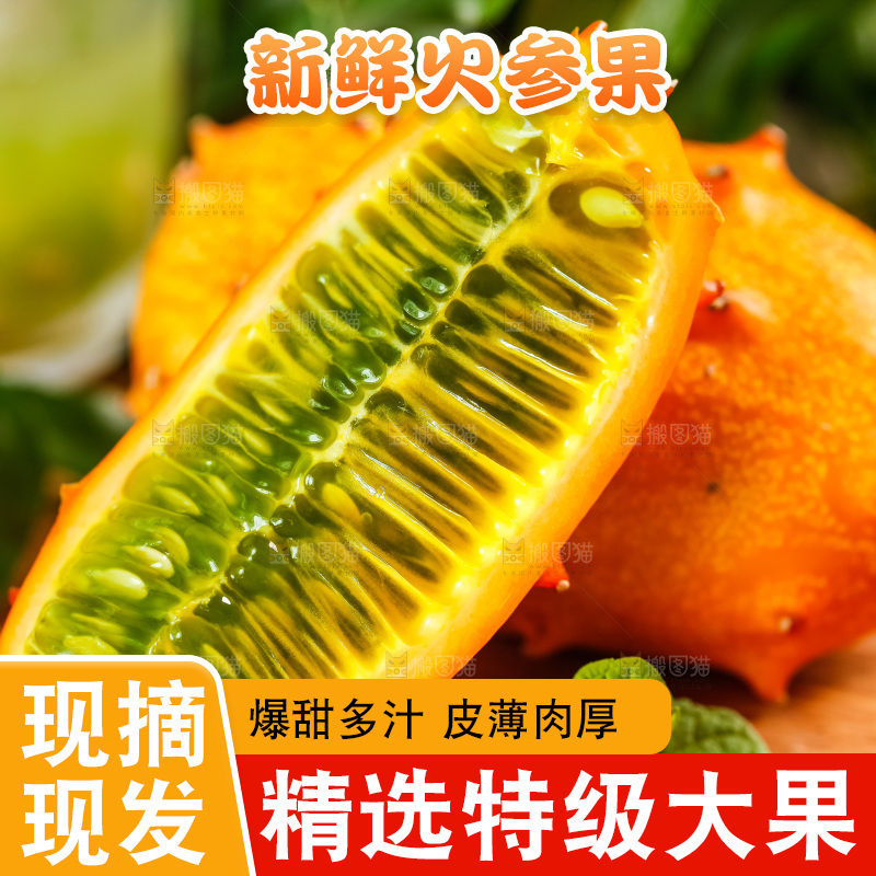 木底上摆放着海参果