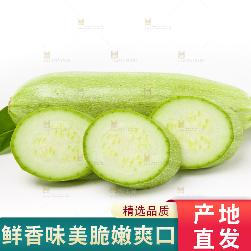 白底上放着西葫芦