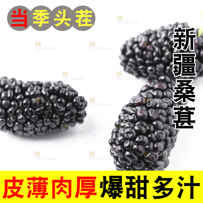 白底上的桑枣