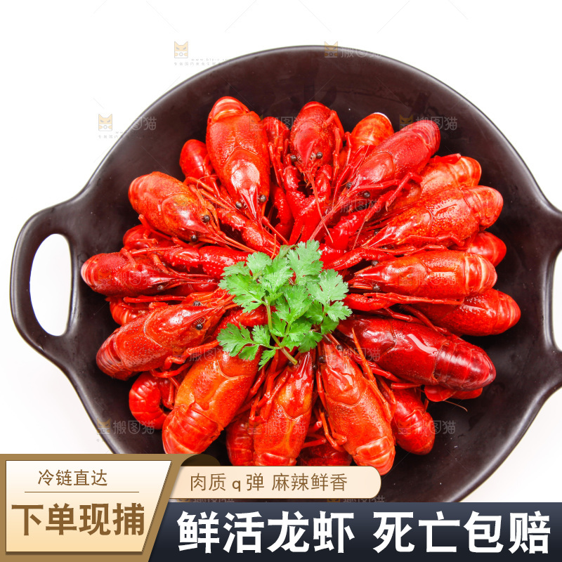 锅里的清蒸小龙虾