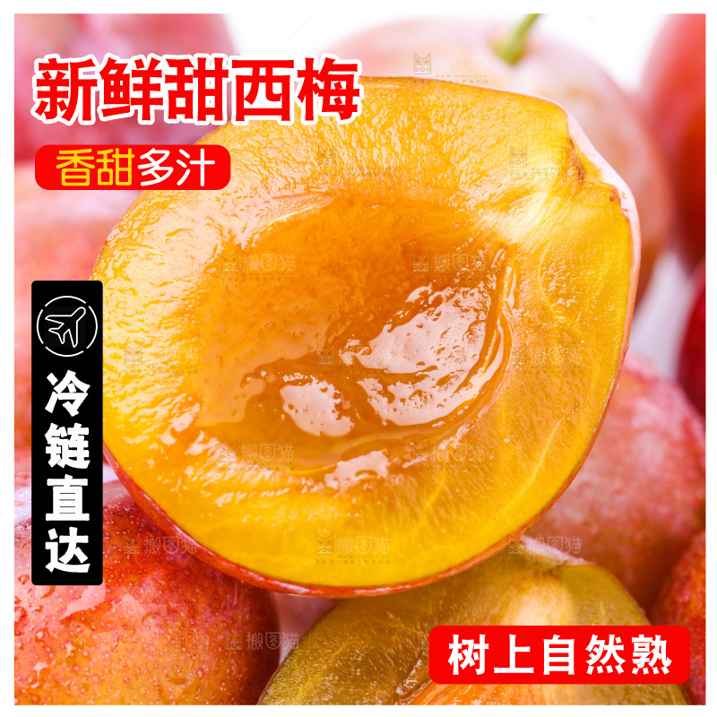 白底上的新疆法兰西西梅