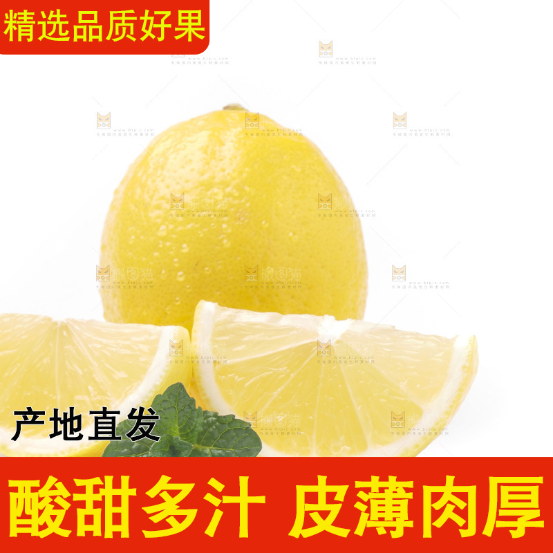 白底上的安岳黄柠檬