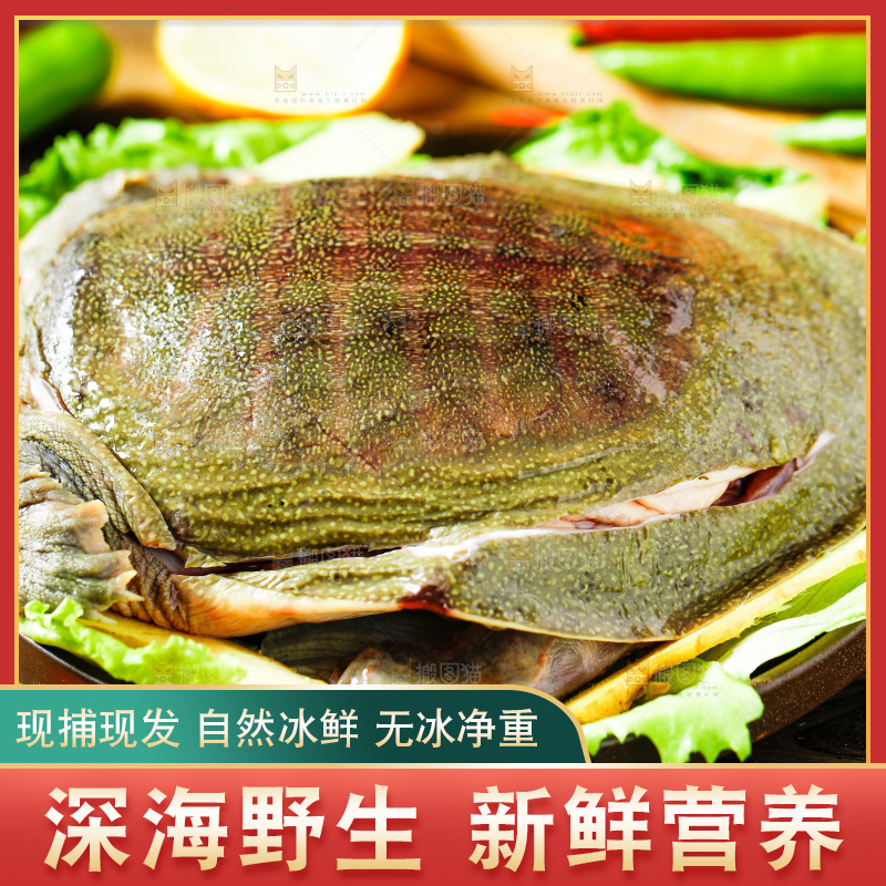 盘子里装着甲鱼
