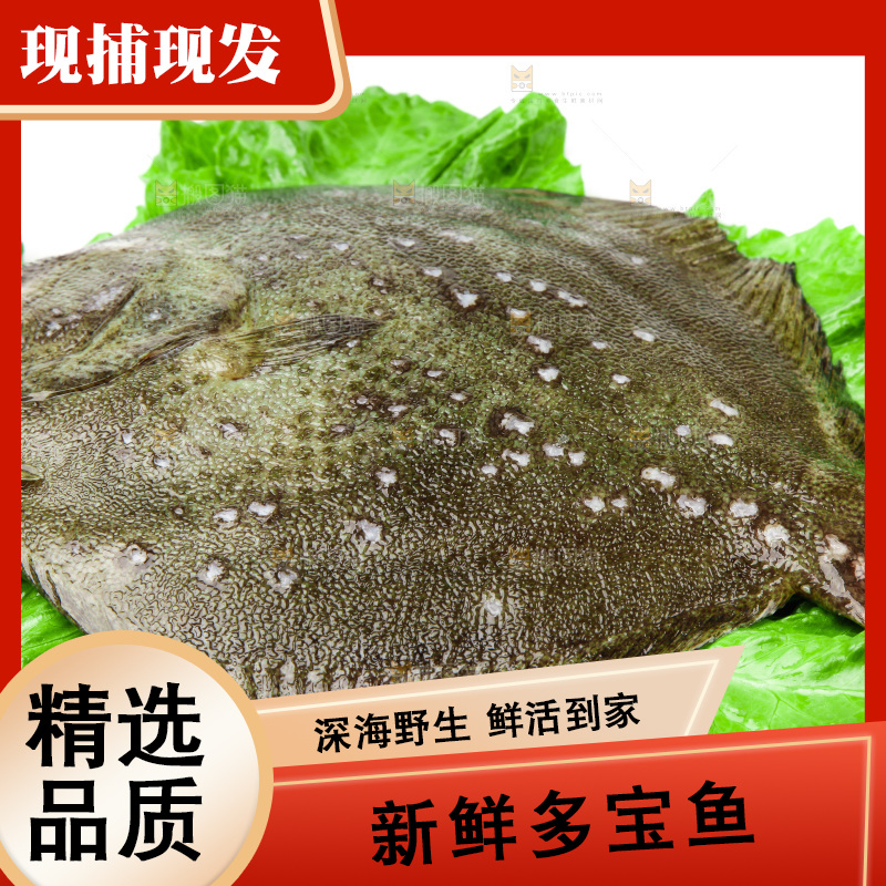 盘子里装着多宝鱼