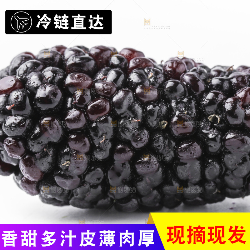 白底上摆放着桑葚