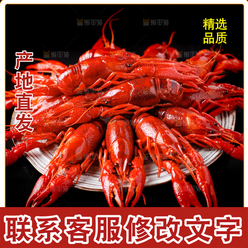 黑底上的清蒸小龙虾