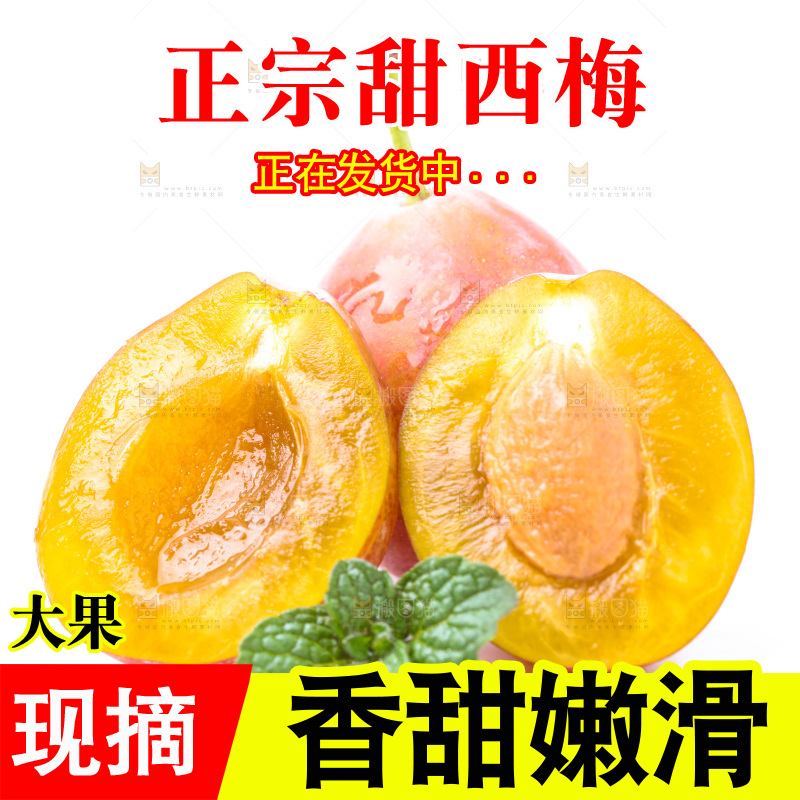 白底上的新疆法兰西西梅