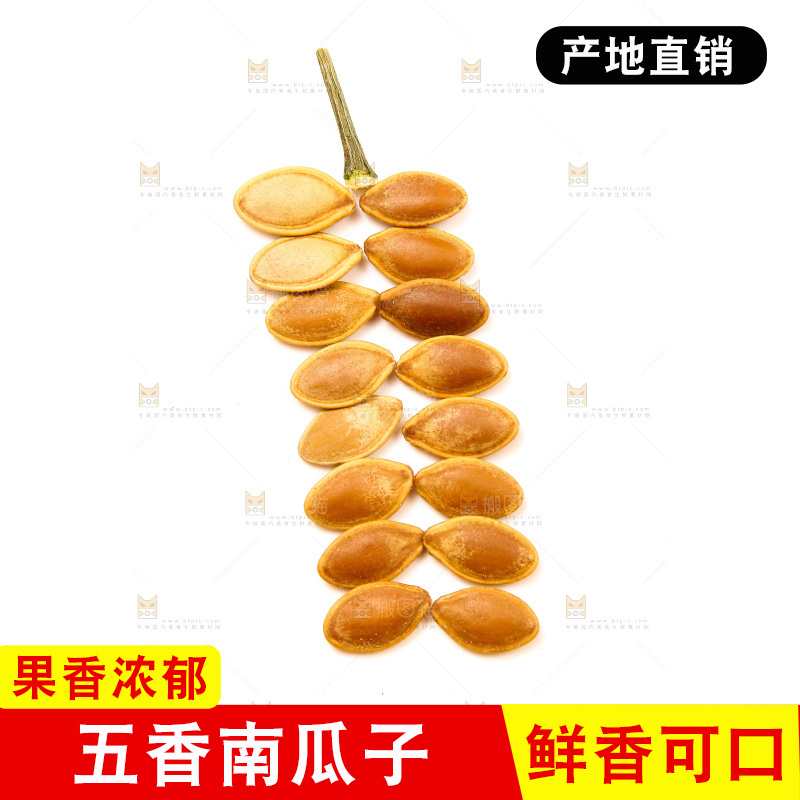 白底上的南瓜子