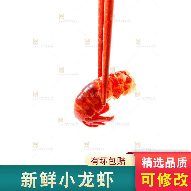 白底上的龙虾尾