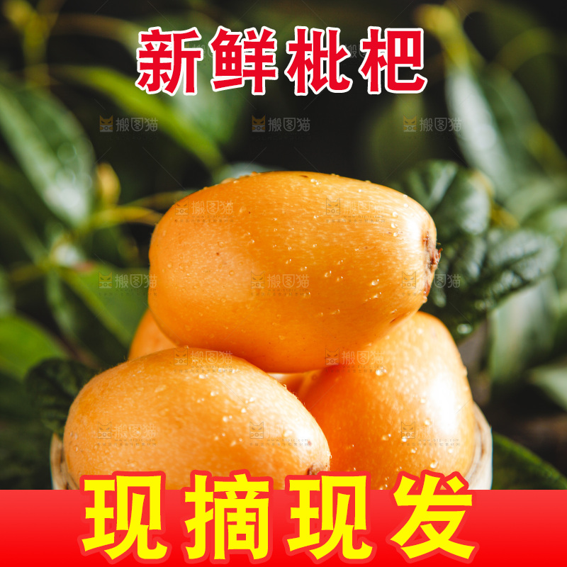 篮子里装着米易枇杷