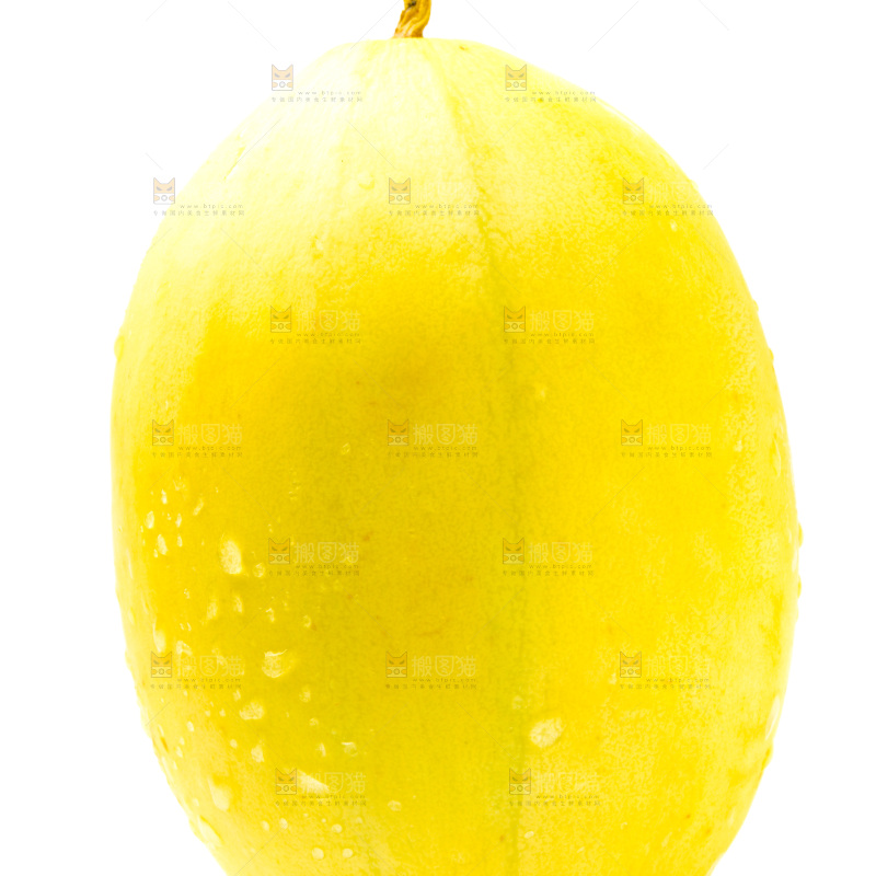 白底上的甜瓜